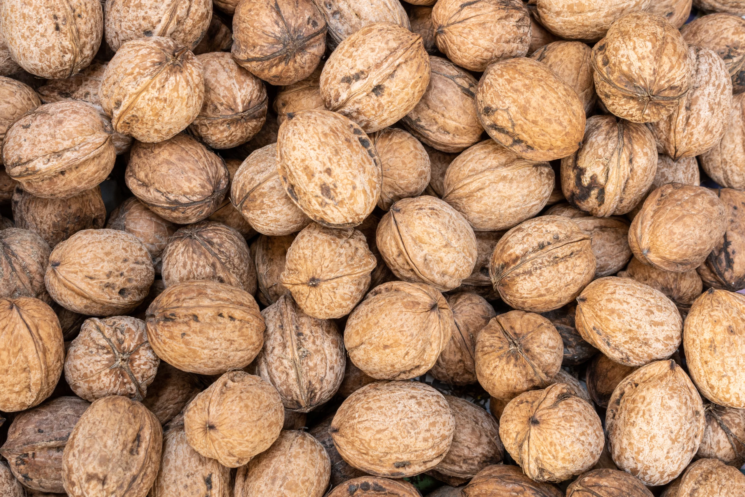 What Does Nutmeg Taste Like? Discover Its Uses & Benefits