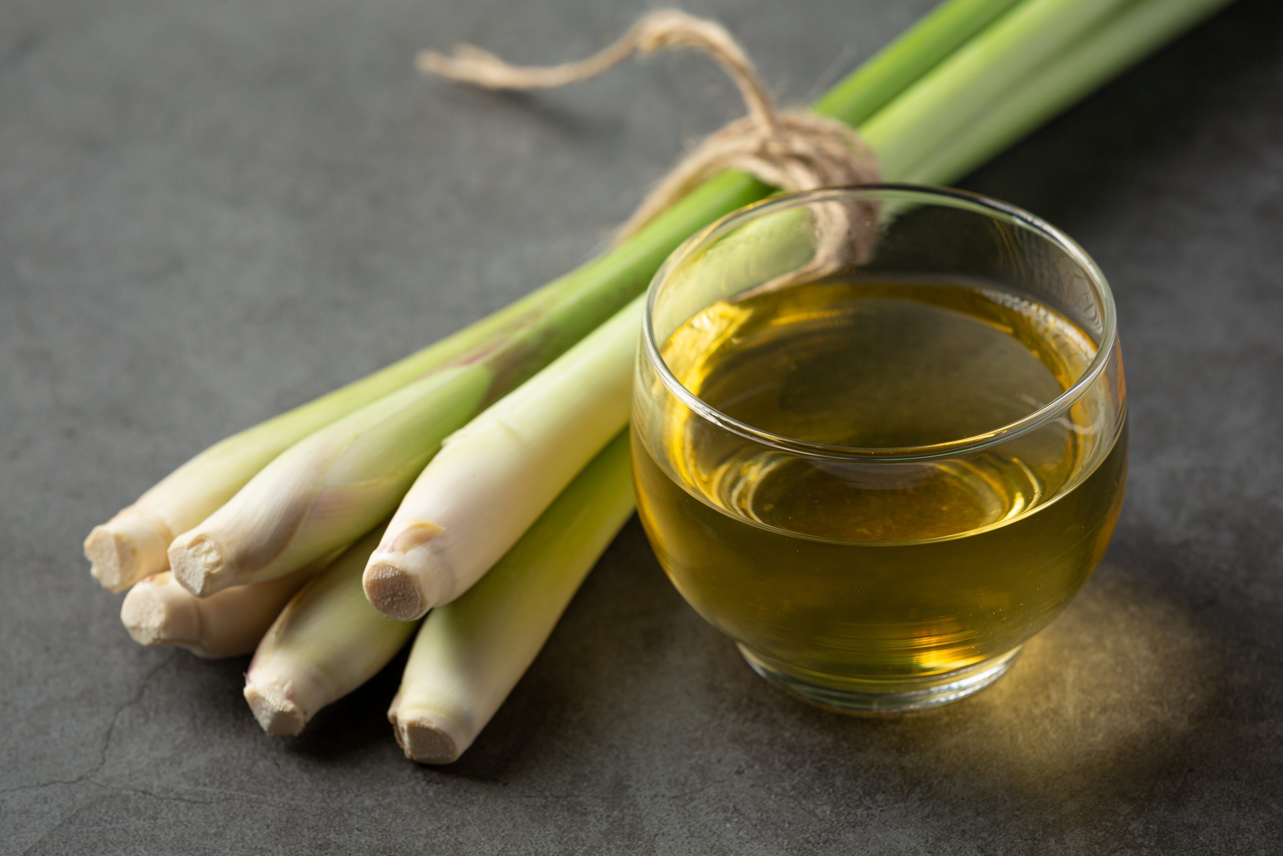 5 Uses of Citronella Plant: From Essential Oil to Candles, and More